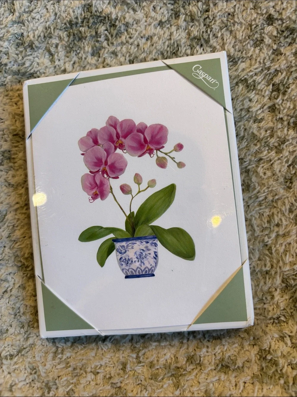 Caspari Pink Tropical Orchid in Blue Porcelain Pot Note Cards Set of 10 NWT